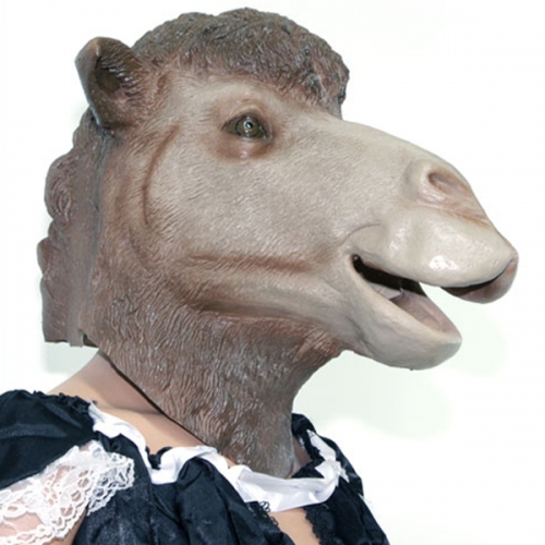 ǰ 